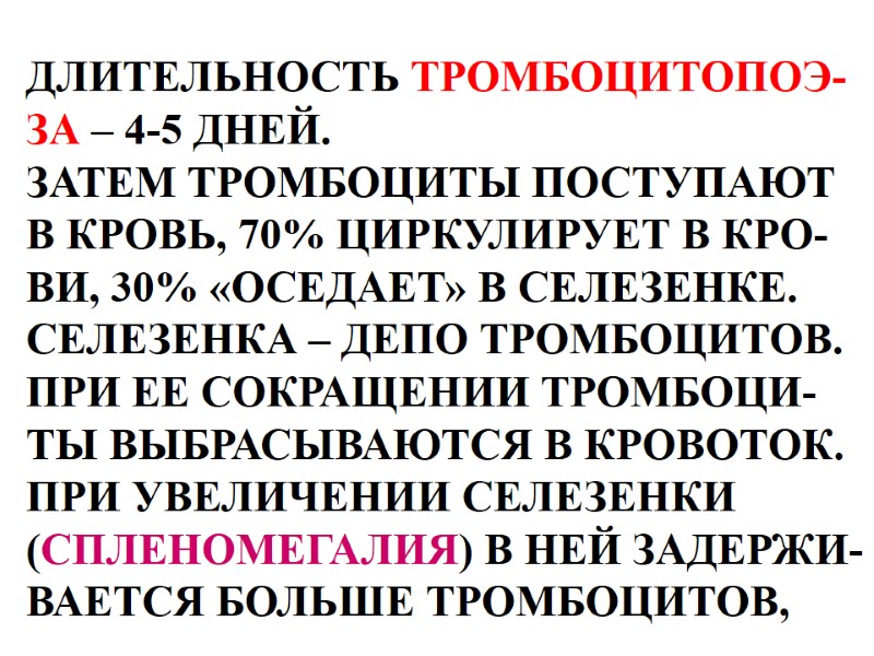 ДЛИТЕЛЬНОСТЬ ТРОМБОЦИТОПОЭ- ЗА – 4-5 ДНЕЙ.  ЗАТЕМ ТРОМБОЦИТЫ ПОСТУПАЮТ  В КРОВЬ, 70%
